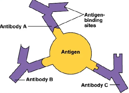 Antigens