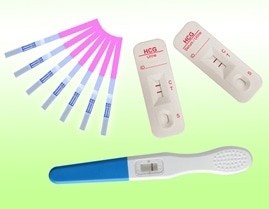 Rapid Test Kits