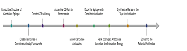 antibodies-services-delivery1