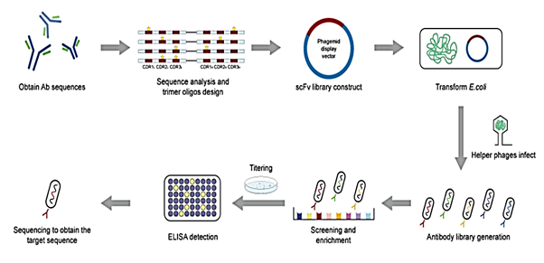 antibodies-services-img