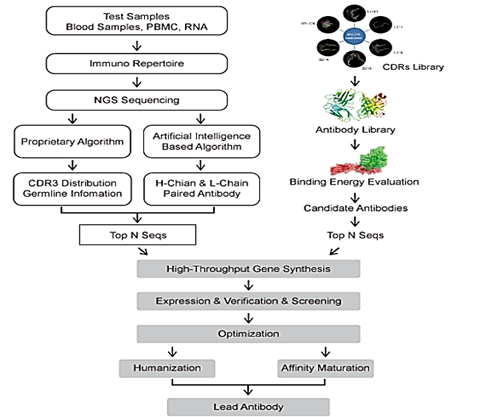 antibodies-services-lead