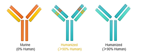 antibodies-services1