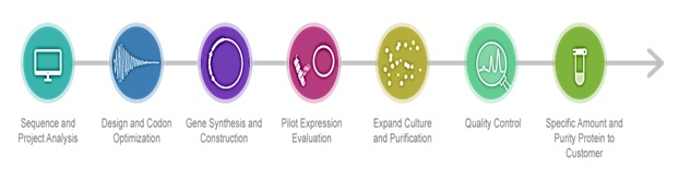 protection-expression-biotechnolabs