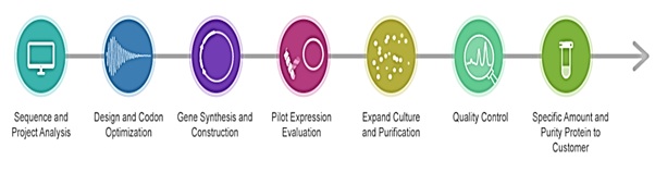 standard-protocol-biotechnolabs