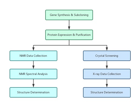 structure-peptide-biotechnolabs