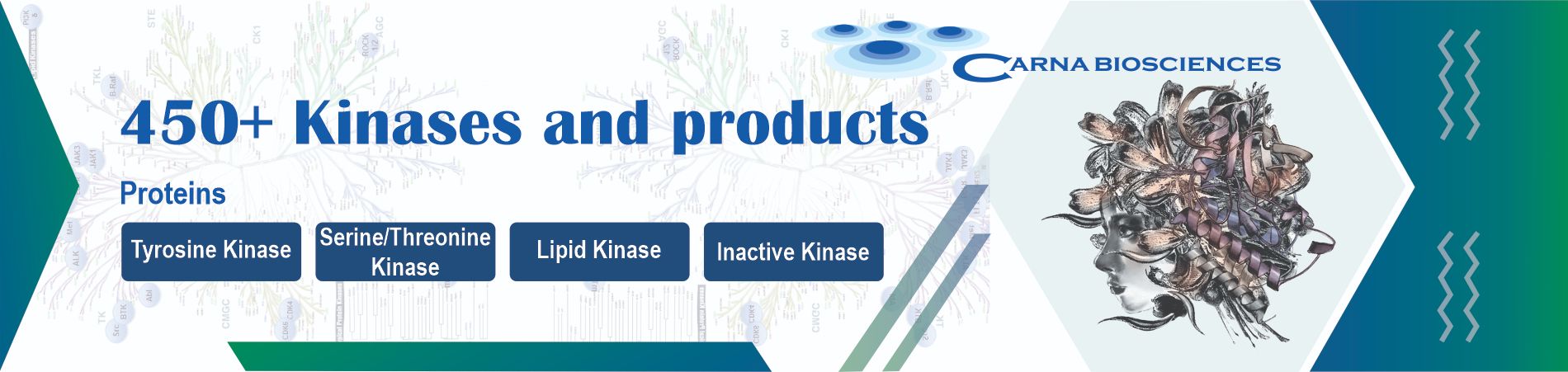 450 Kinase Products Carna Bioscience