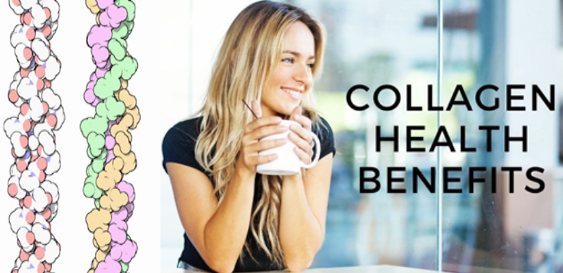 Derivation and Role of Collagen in human health