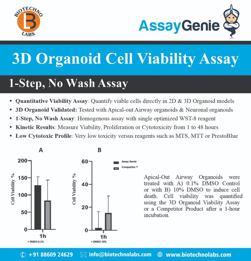 3D Organoid Cell Viability Assay