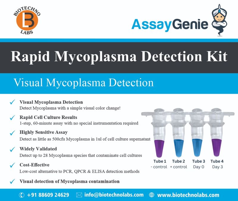 Rapid Mycoplasma Detection Kit
