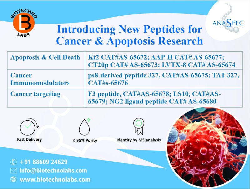 Introducing New Peptides for Cancer and Apoptosis Research