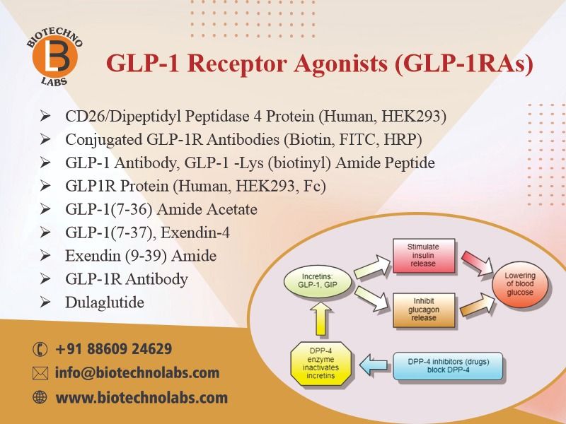 GLP-1 Receptor Agonists: Key Solutions for Obesity and Diabetes Research