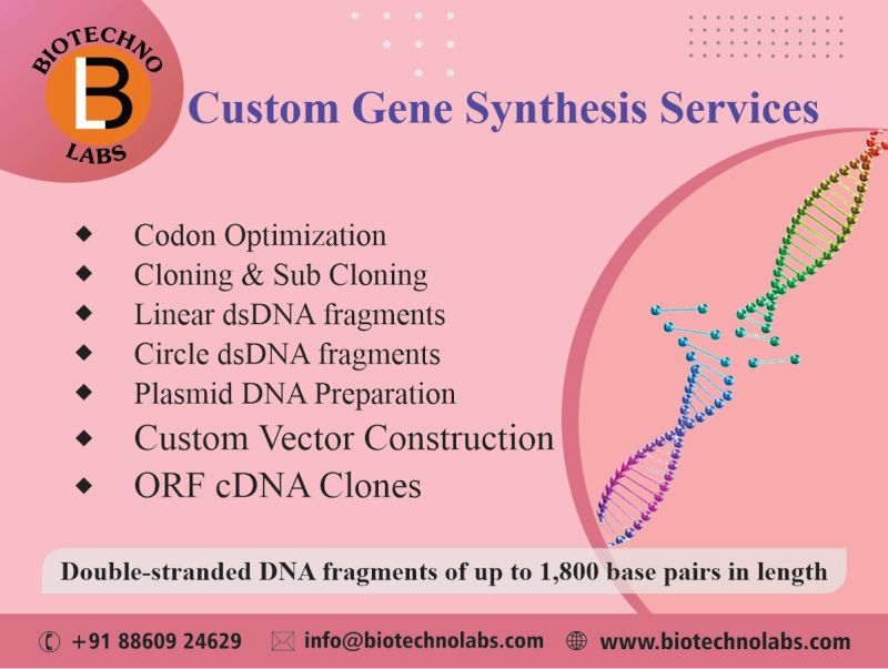 Custom Gene Synthesis Services