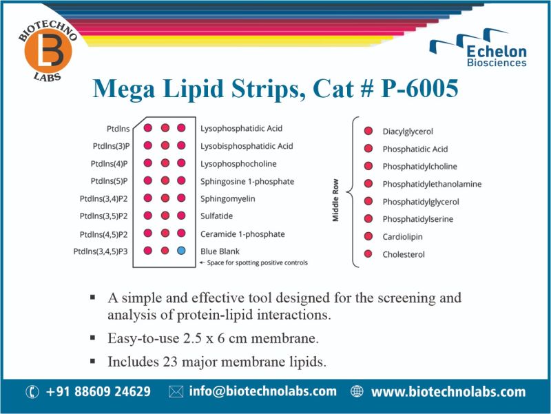 Mega Lipid Strips