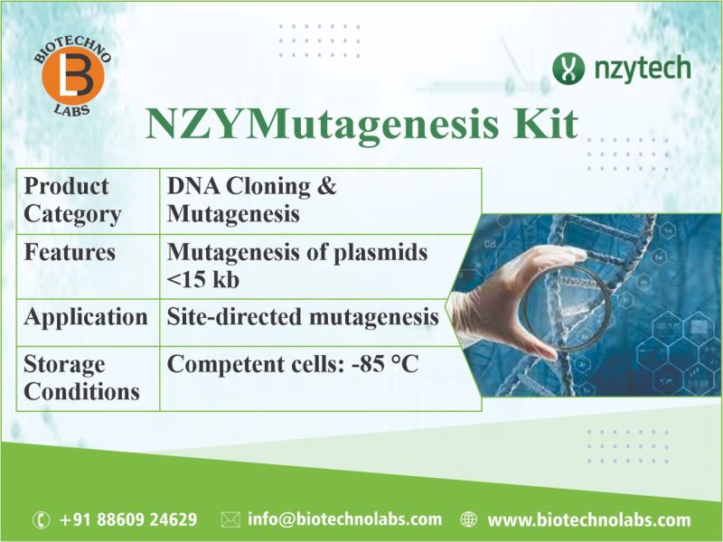 NZYMutagenesis Kit
