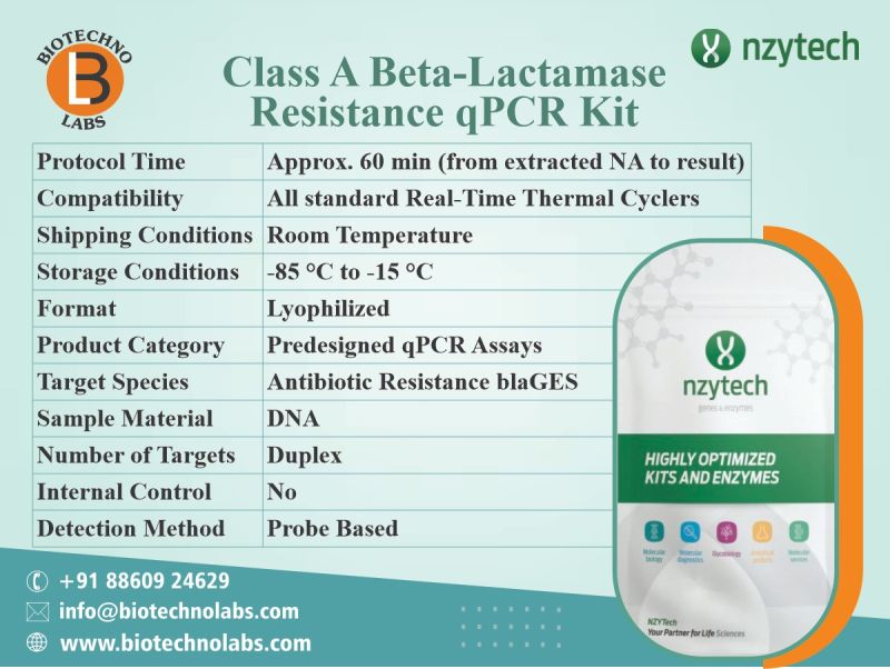 Class A Beta-lactamase Resistance qPCR Kit