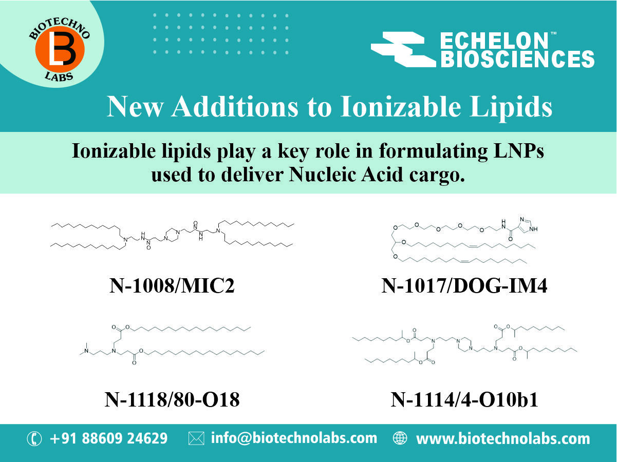 Ionizable Lipids By Echelon Bioscience