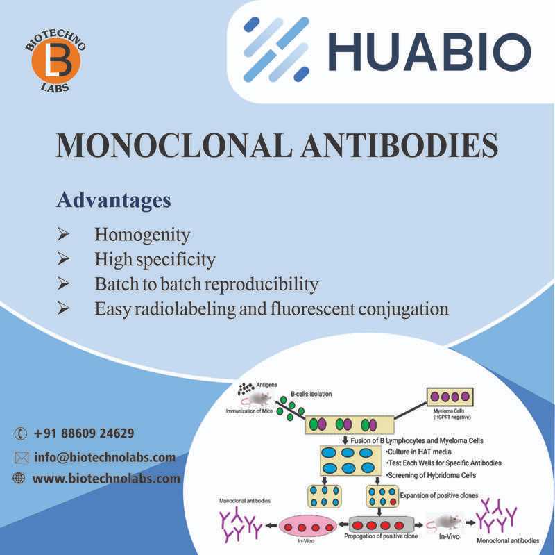 Monoclonal Antibodies