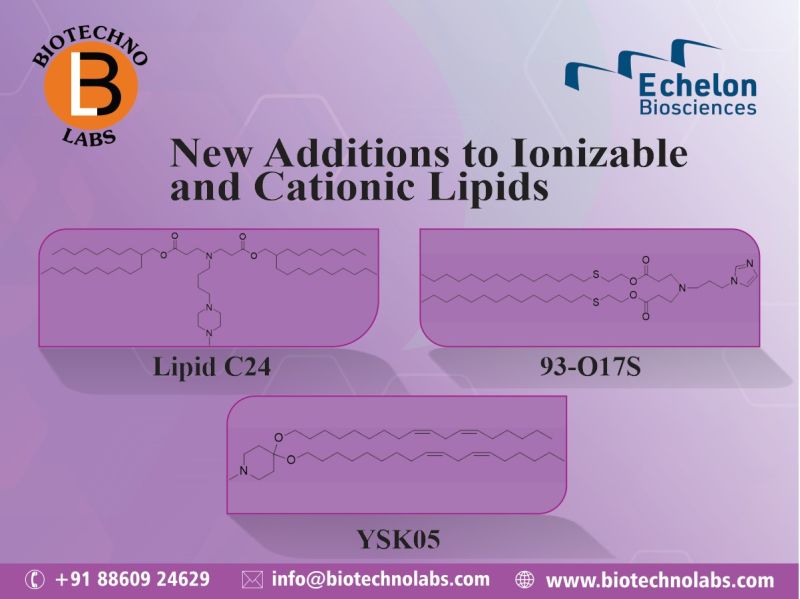 New Additions to lonizable and Cationic Lipids