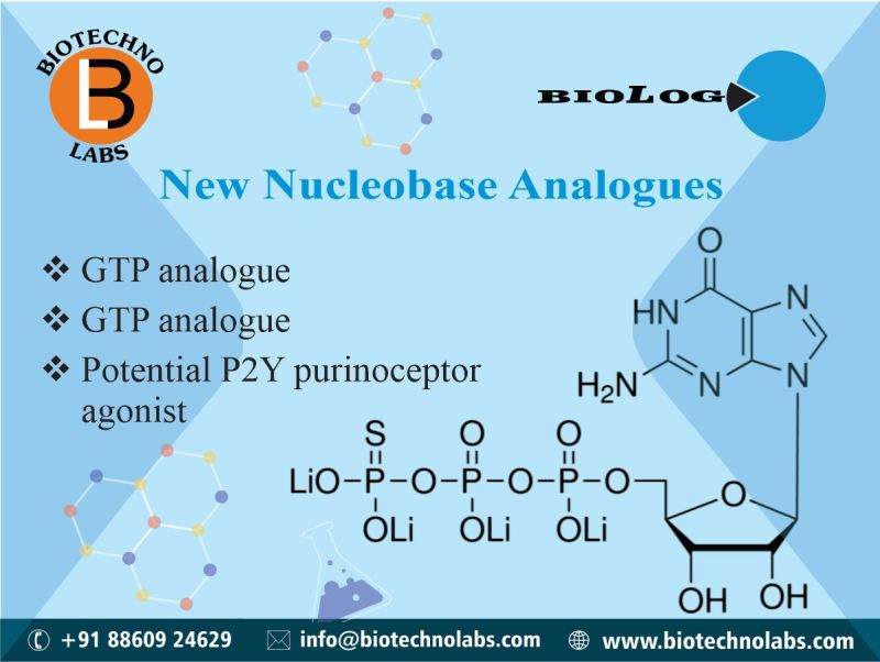 New Nucleobase Analogues