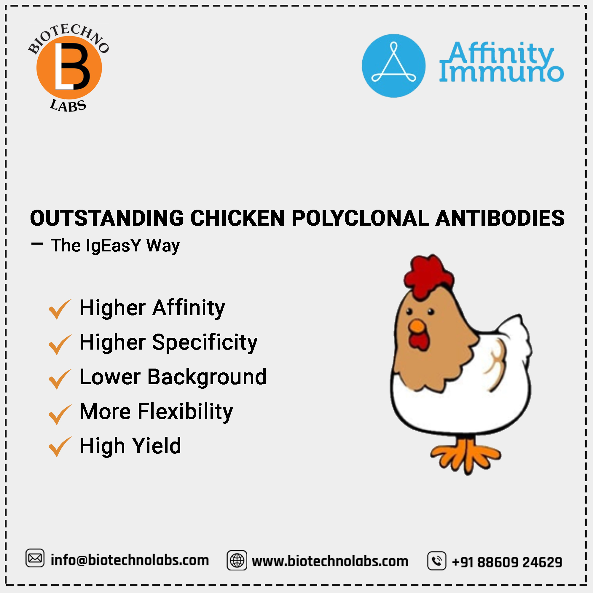 Outstanding Chicken Polyclonal Antibodies