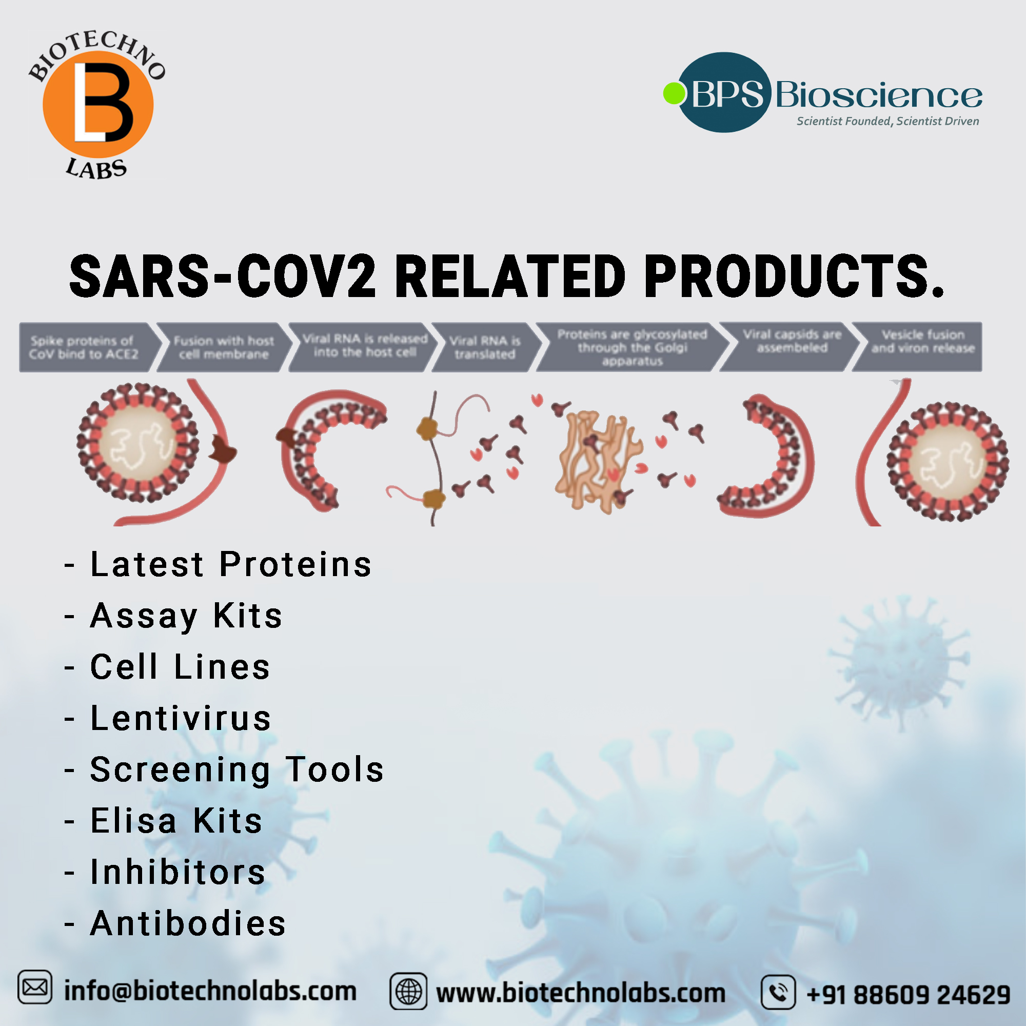 SARS-Cov2 related products by BPS Biosciences