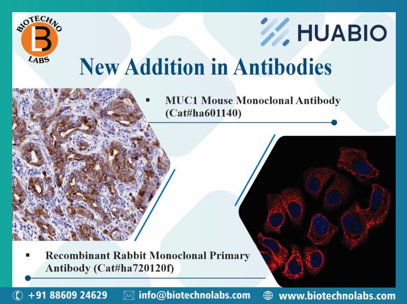 New Addition in Antibodies