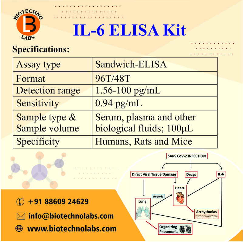 IL-6 Elisa Kit