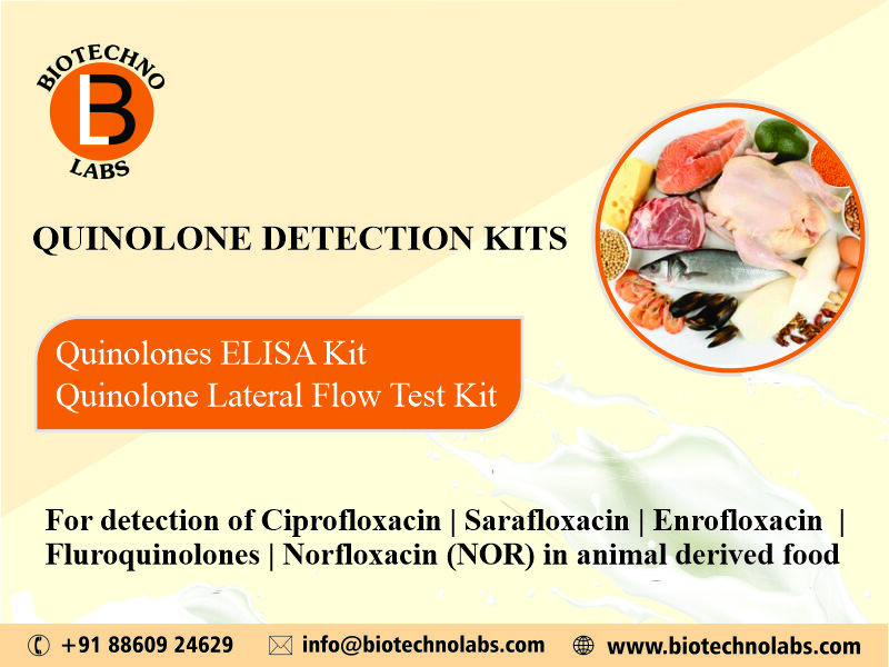 Quinolone Detection Kits