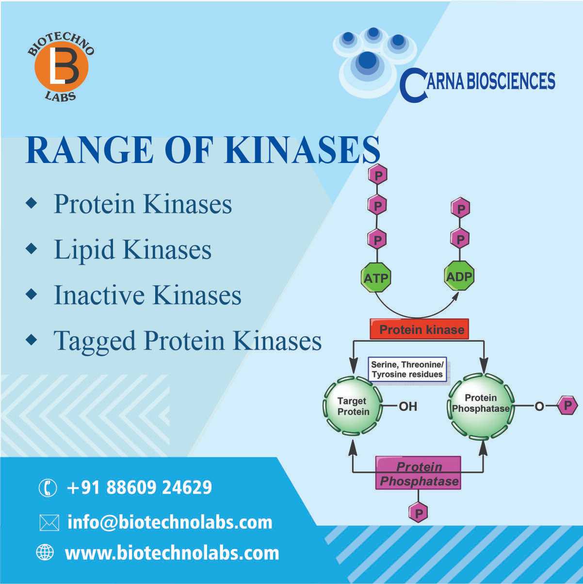 Range of Kinases