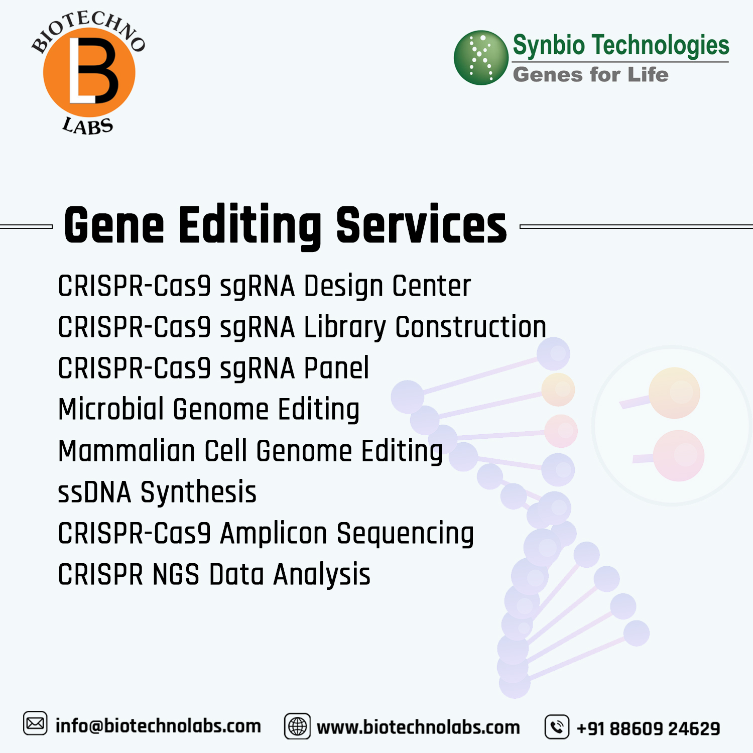 Gene Editing services by Synbio Technologies