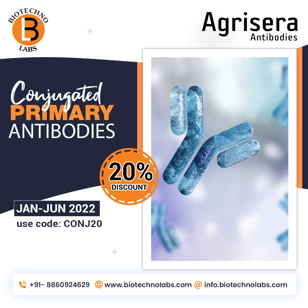 Huge Discount on Conjugated Primary Antibodies