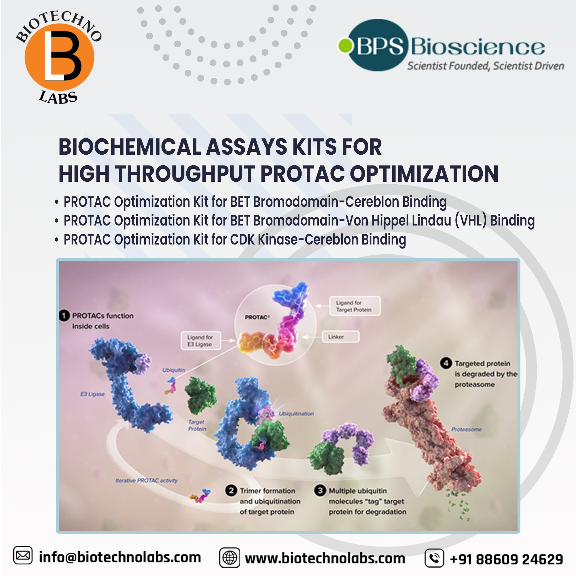 PROTAC optimization by BPS Bioscience