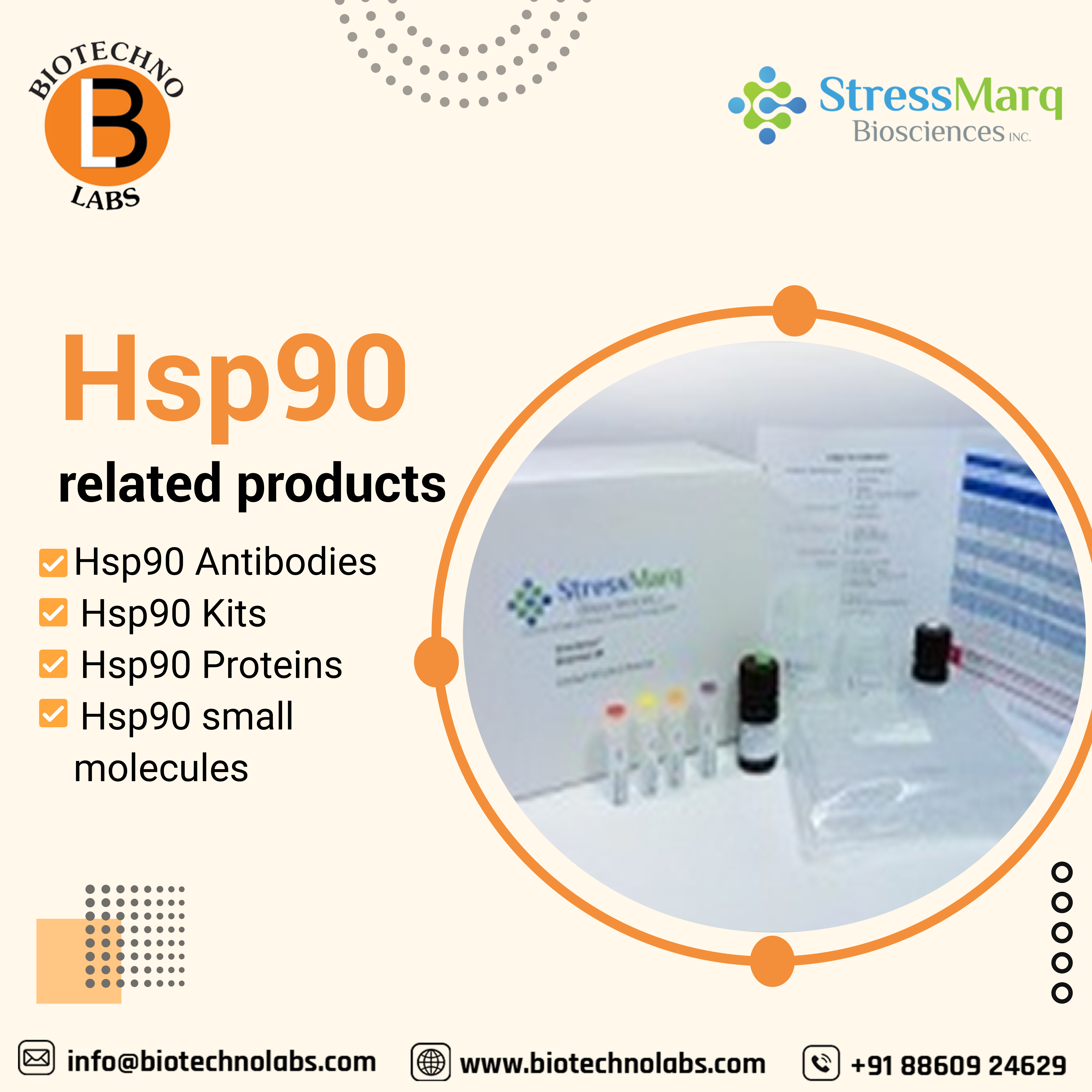 Hsp90 related products