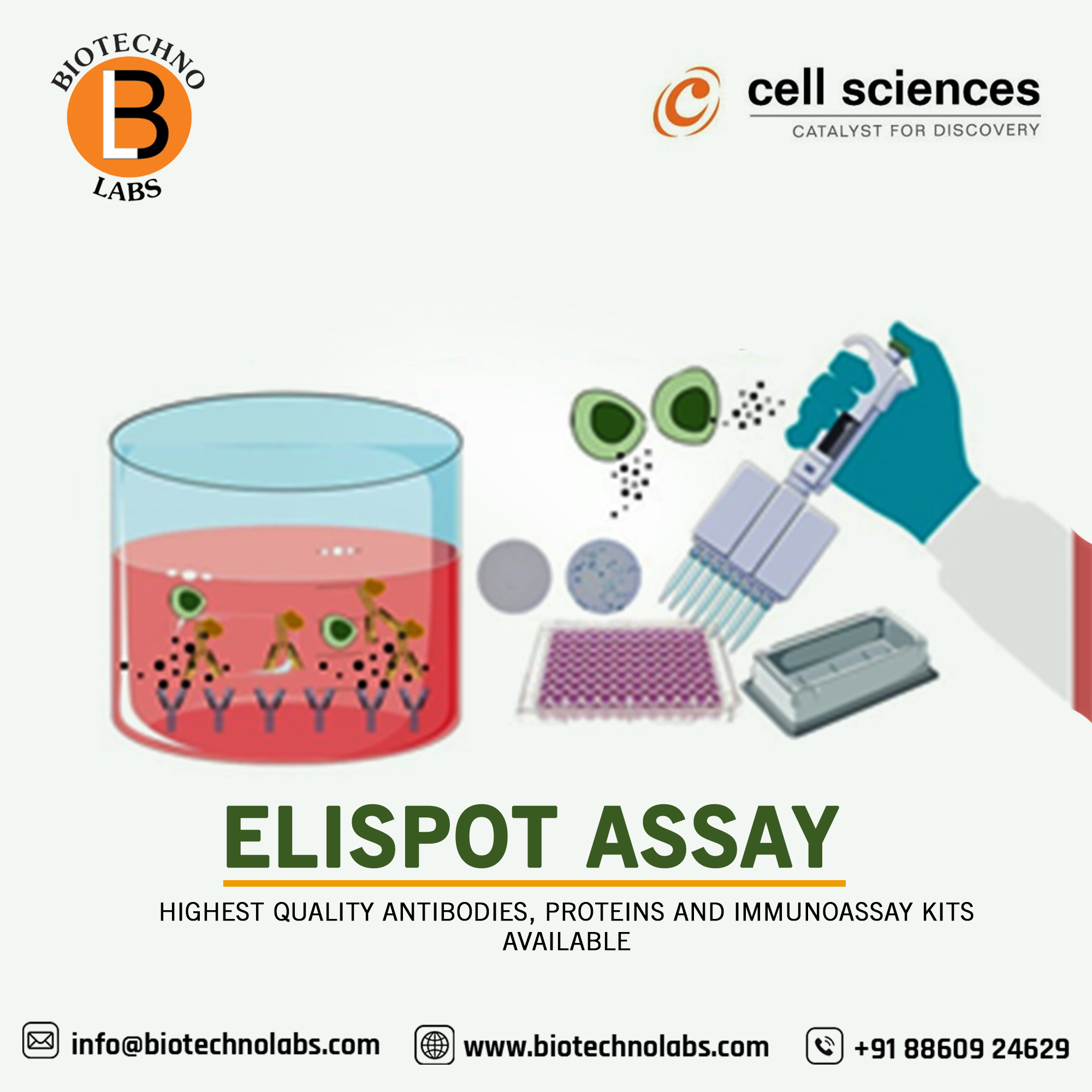 Cell Sciences for promoting research using ELISPOT