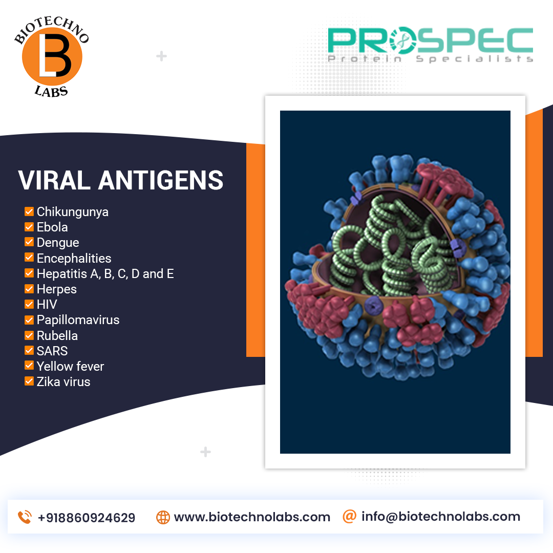 Range of viral antigens to support virologist