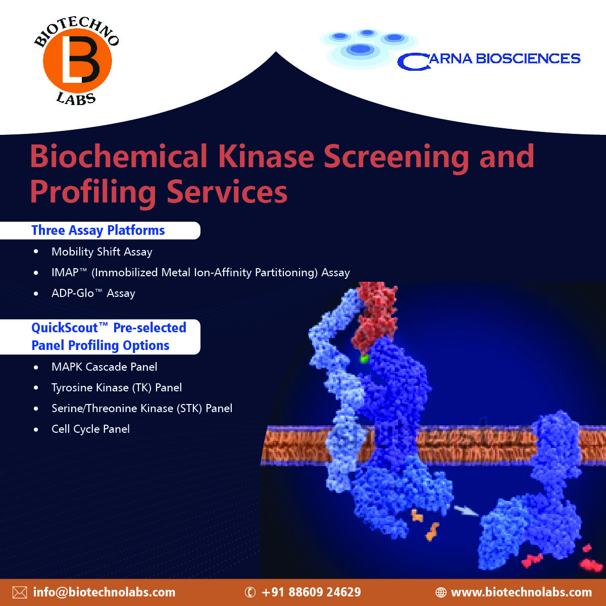 Biochemical Kinase Screening and Profiling Services