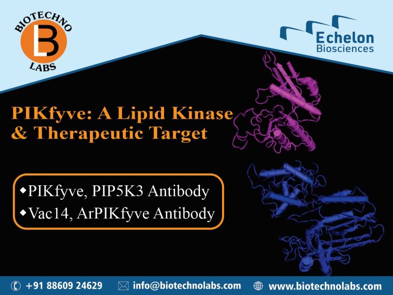 PIKfyve: A Lipid Kinase & Therapeutic Target