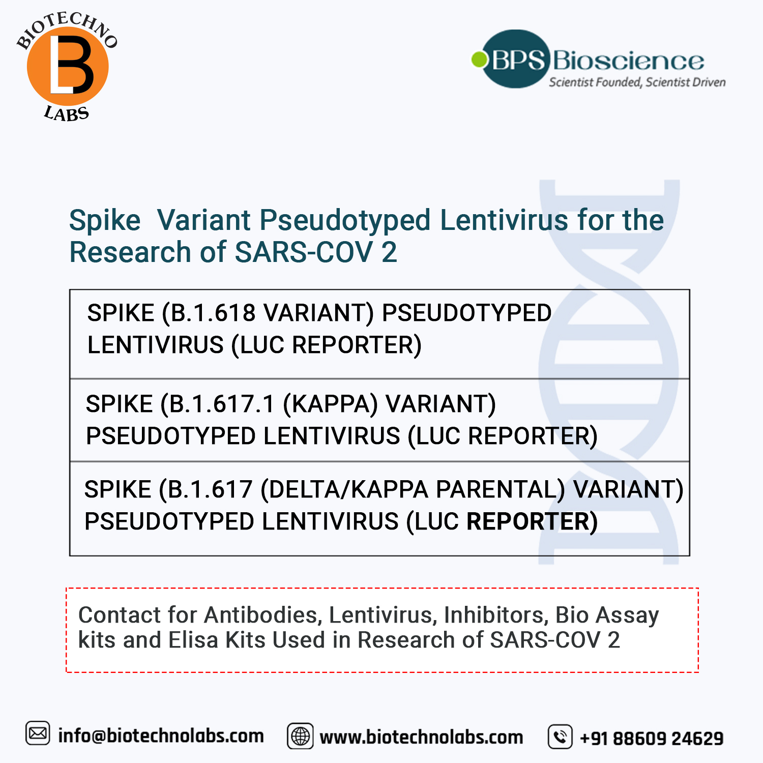 Three new Indian variants Spike pseudoviruses by BPS Biosciences