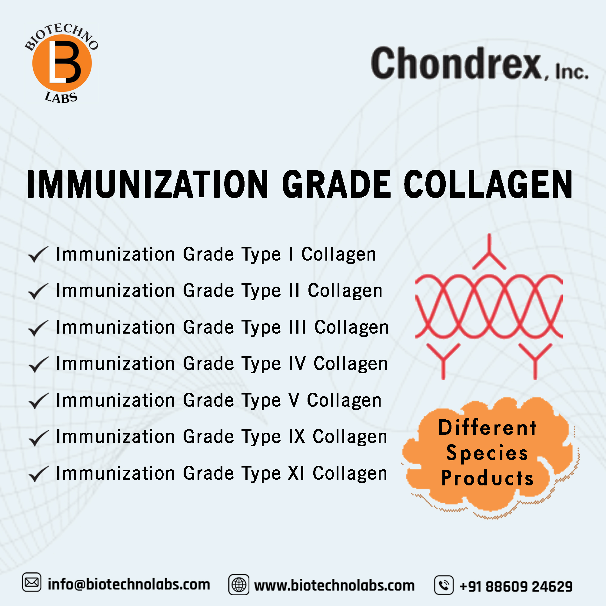 Chondrex, Inc. offers various types and species of collagen