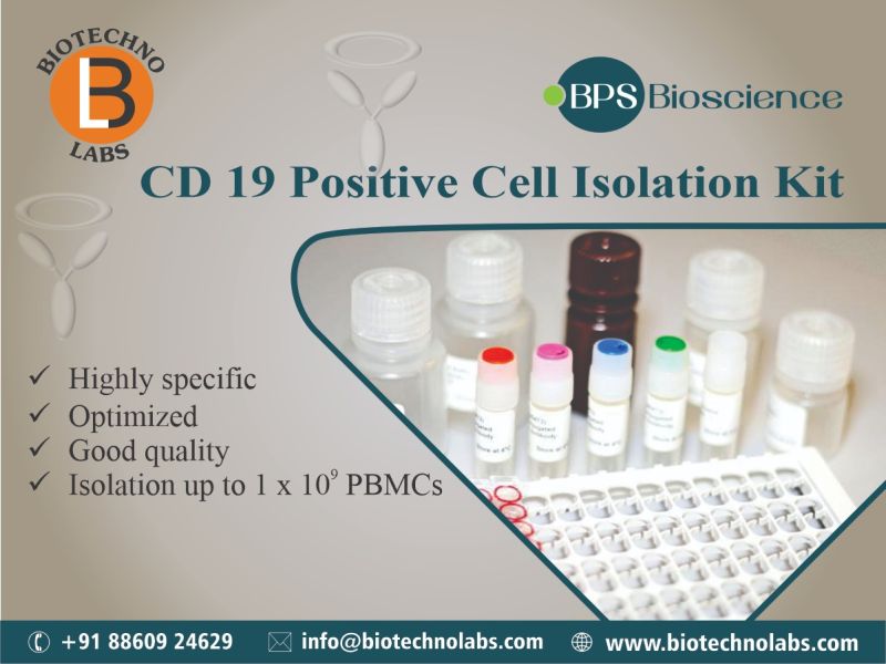 CD 19 Positive Cell Isolation Kit