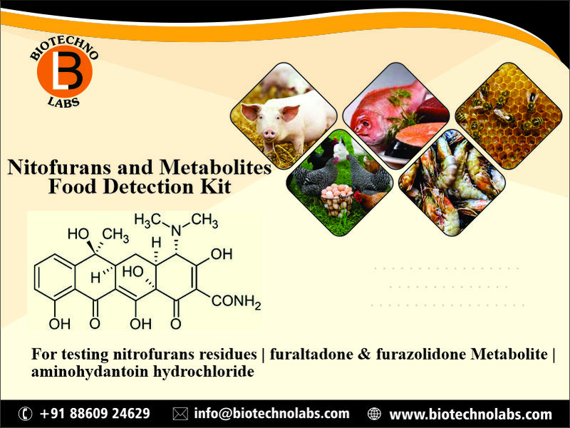 Nitrofurans and Metabolites Food Detection Kit