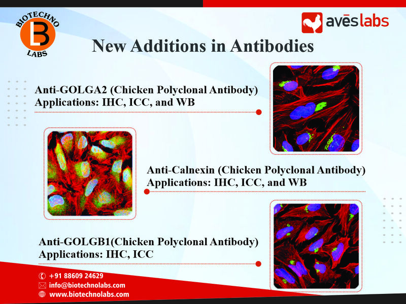 New Additions to the Antibody Product Range of Aves Labs