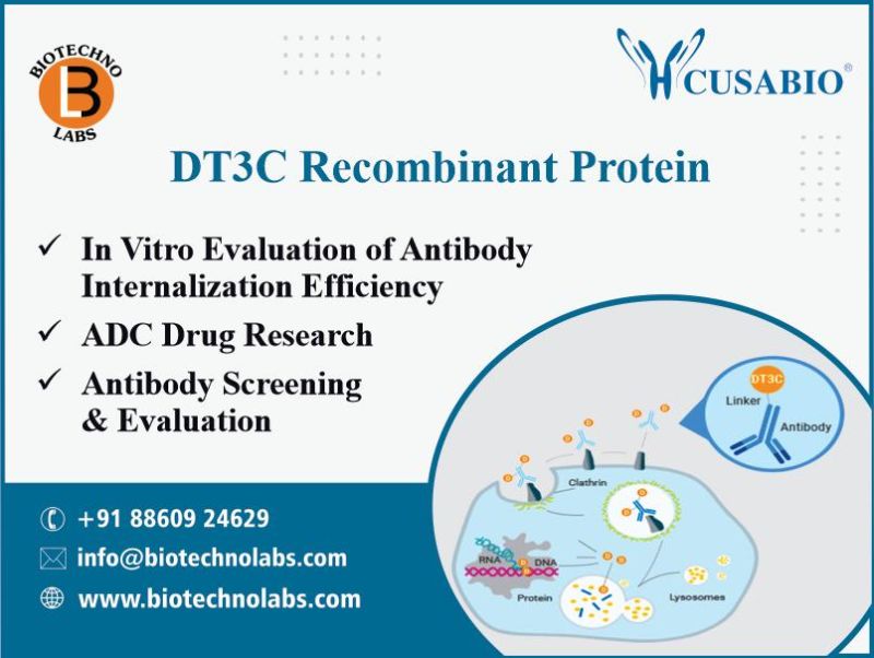 DT3C Recombinant Protein